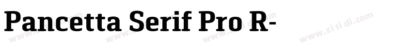 Pancetta Serif Pro R字体转换